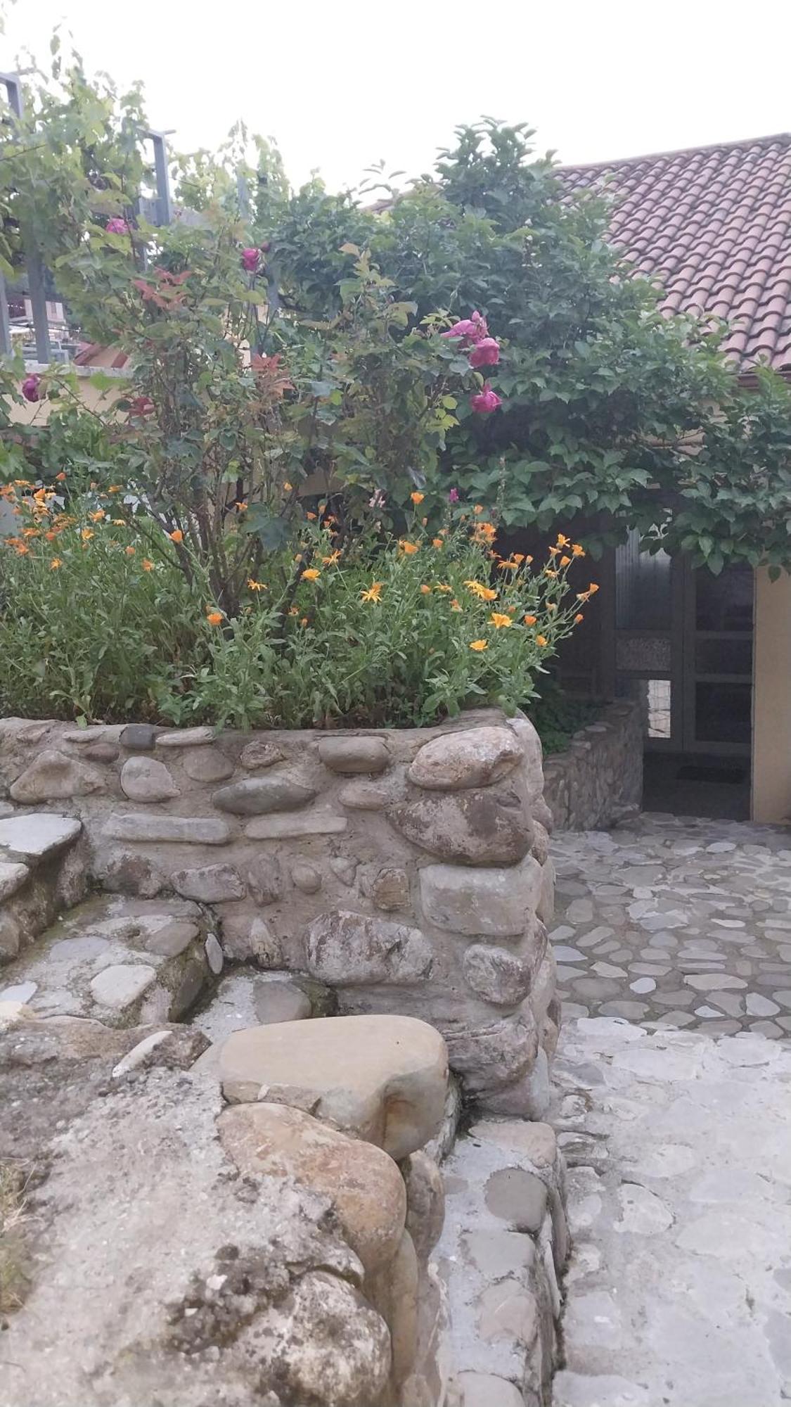 Hotel Vigor Sighnaghi Exterior foto